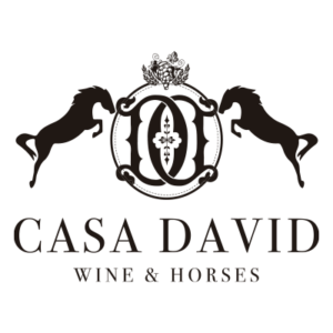 logo-casa-davidi